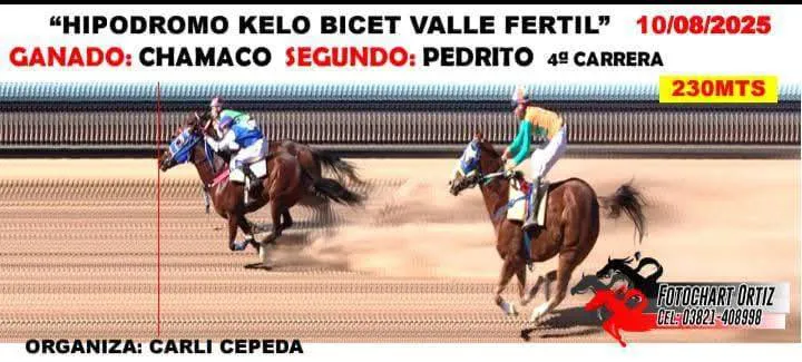 531409947_796507742893391_7235699417091201698_n