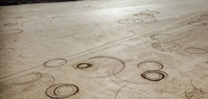 Danos-en-Leoncito-728x349