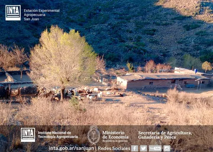 FB_IMG_1724896734147