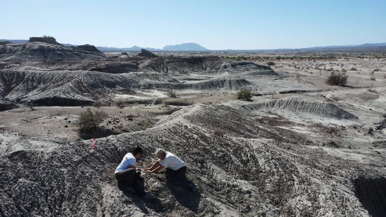 2B-Martinez-y-Colombi-baja