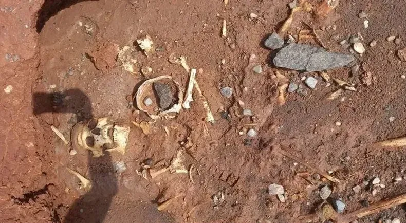 image - 2026-02-18T123226.293