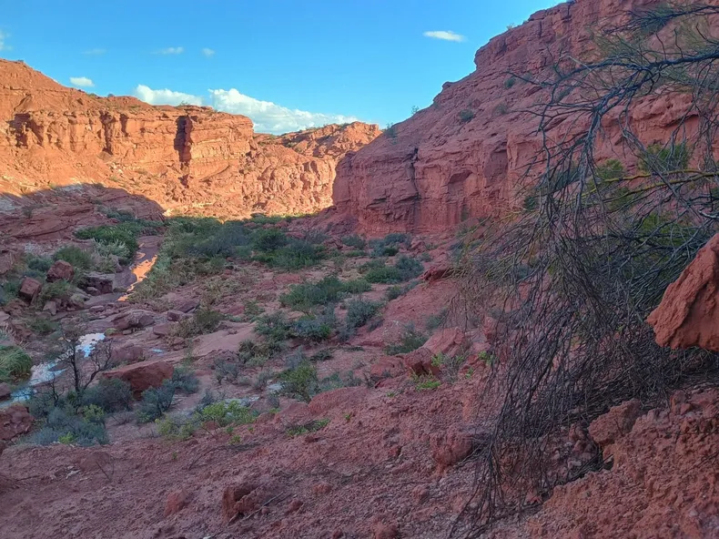 whatsapp-image-2025-03-14-at-004604jpeg