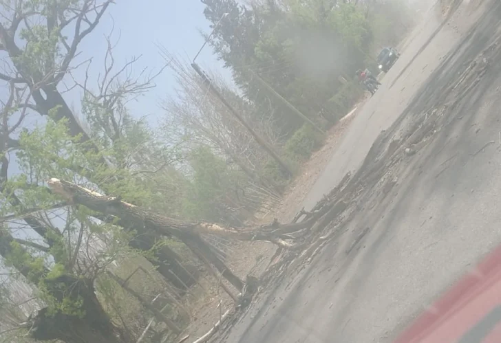 IMG-20250926-WA0057-728x499