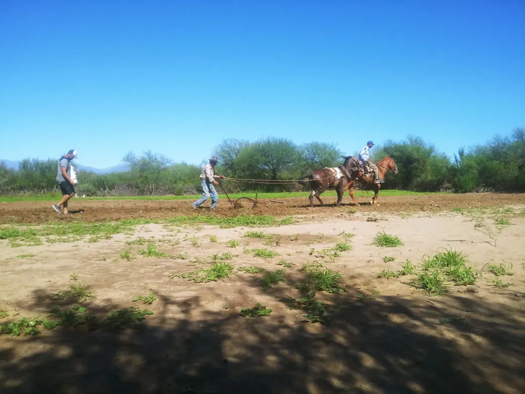 eb25be82-e5ae-4453-a627-508dc2a5a2b6