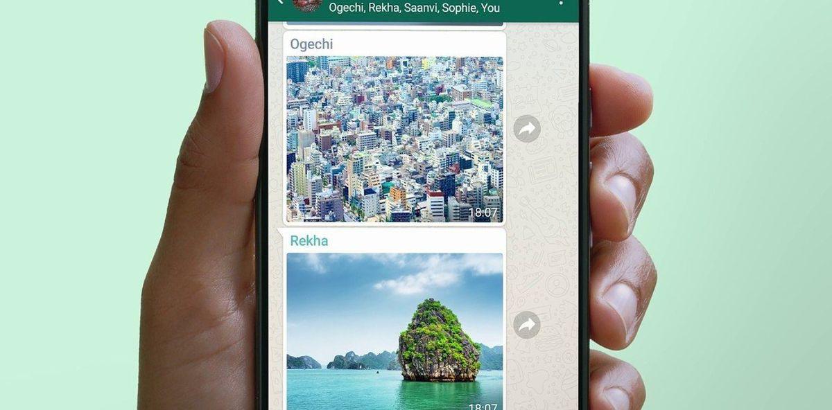 whatsapp-prueba-una-funcion-para___snnmepcvh_1256x620__1jpg