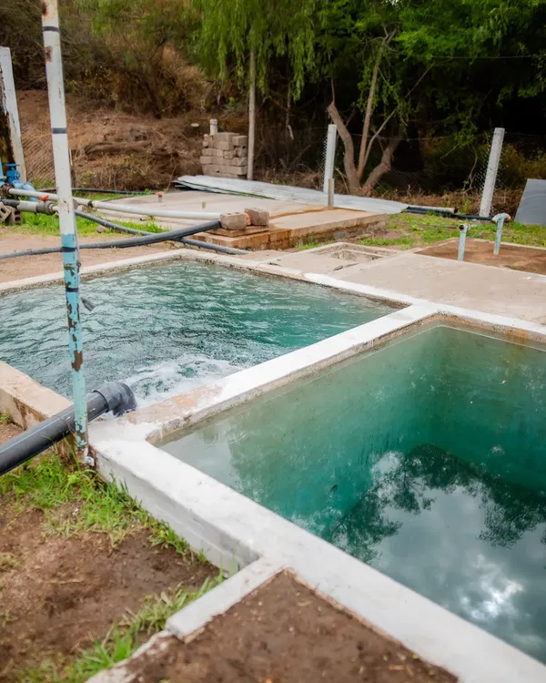 557970286_18376315753197718_3562724928777799726_n