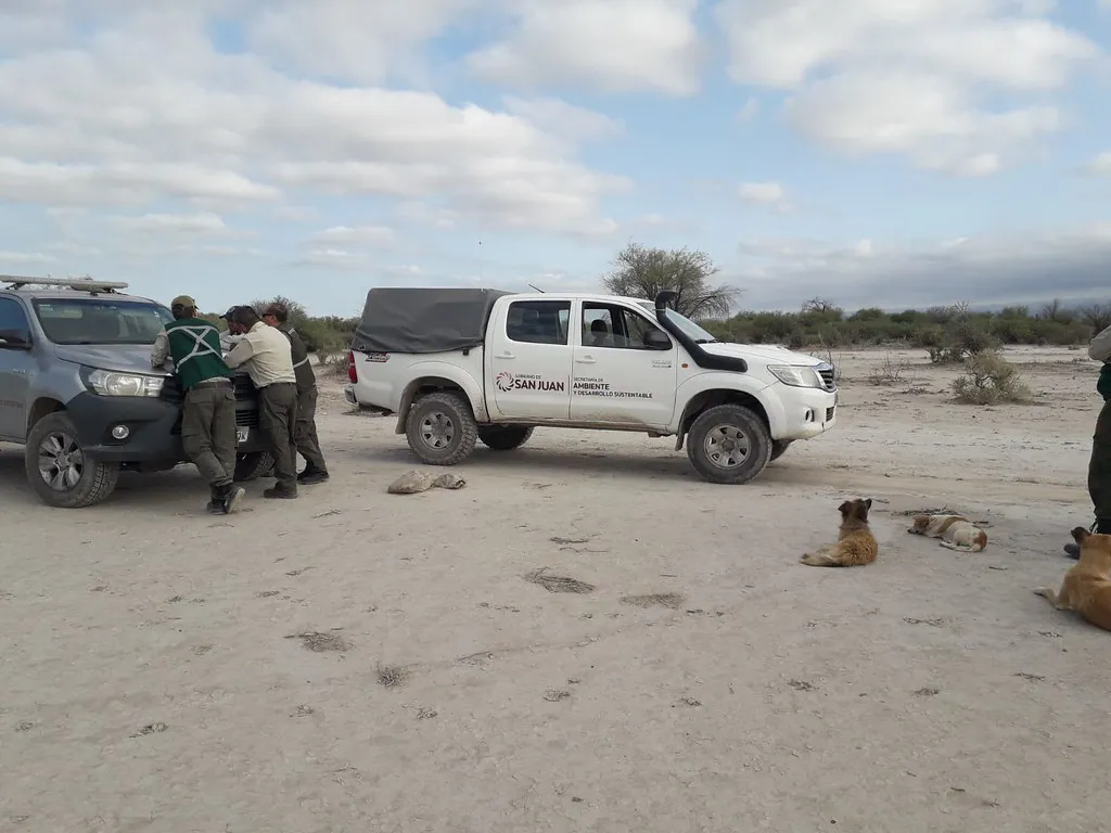 53451533975_807da69e00_b