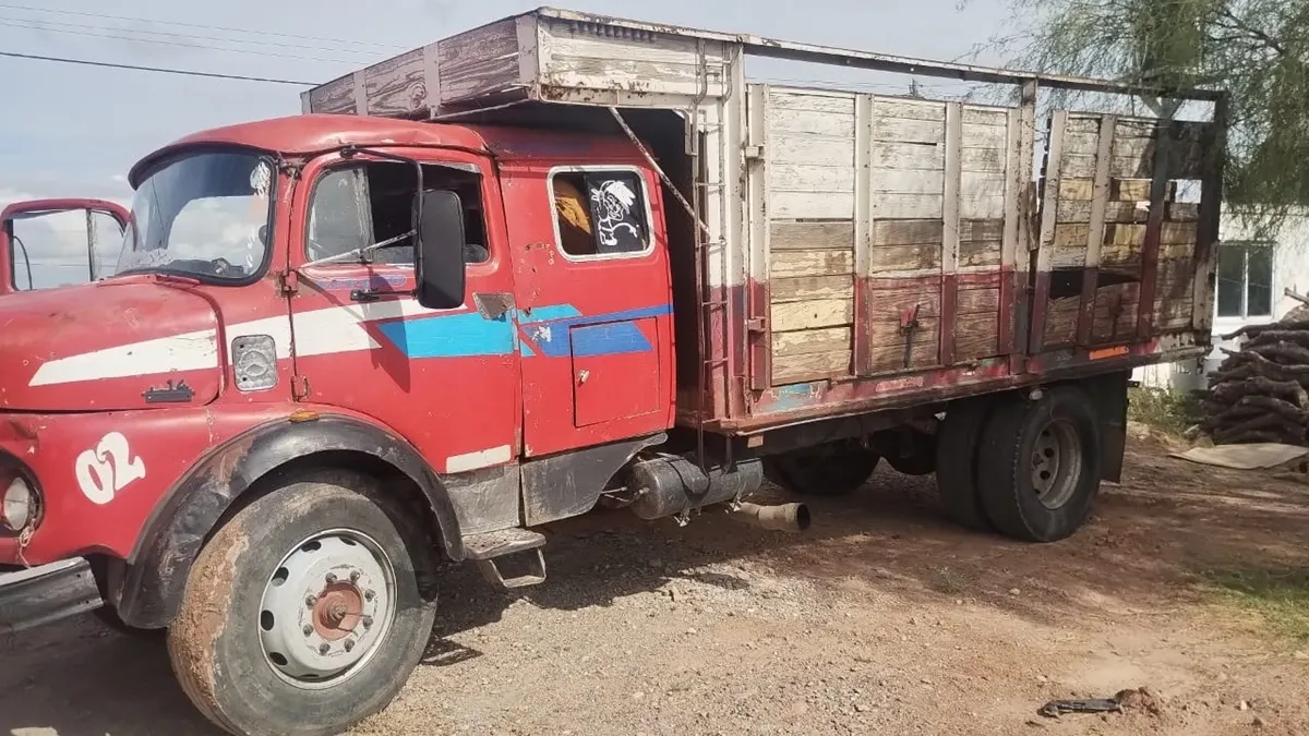 camion-la-rioja-lena-1jpeg