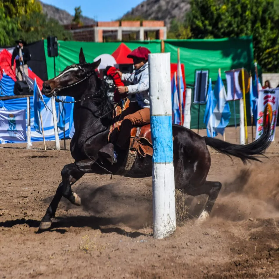 441410577_850609797093978_7067286528479687195_n