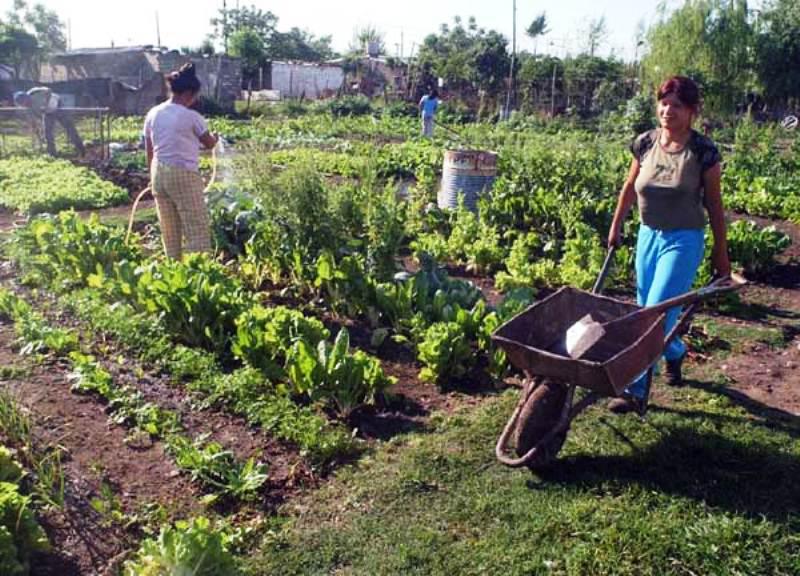 INTA-AGRICULTURA-FAMILIAR