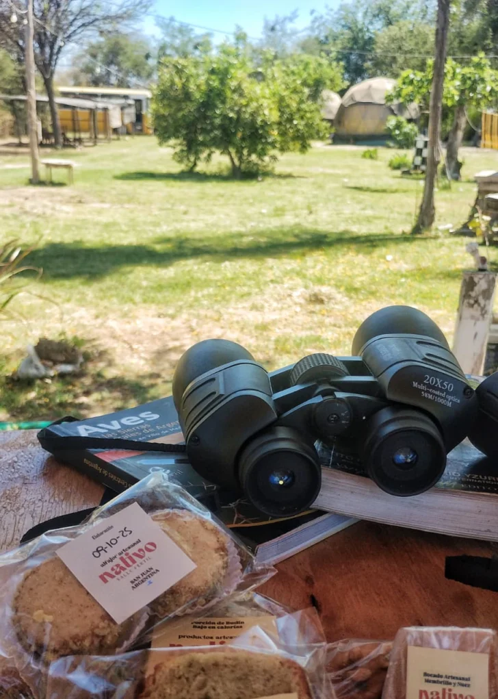 Avistaje-de-aves-en-Valle-Fertil-12-728x1021