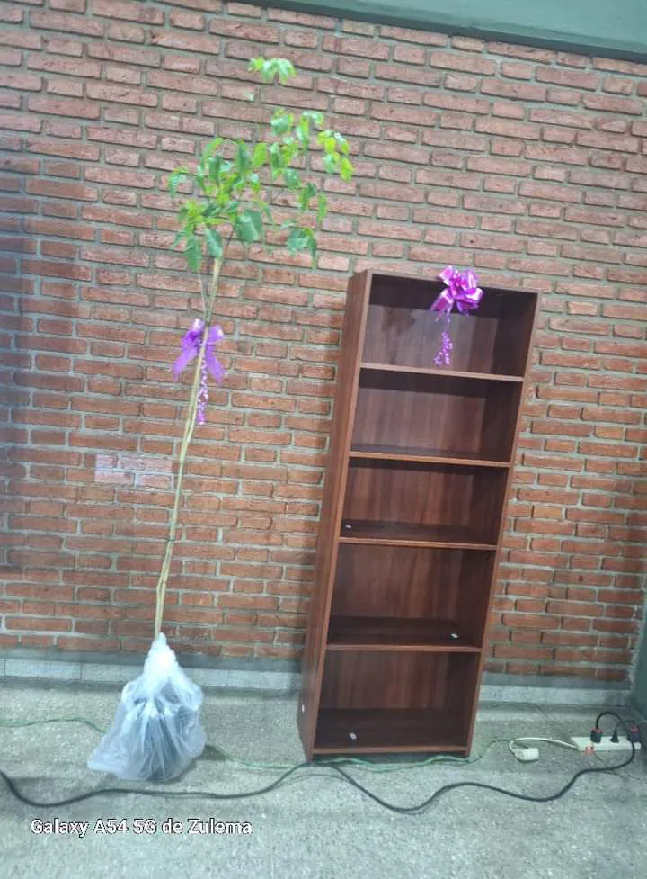 FB_IMG_1728655419409