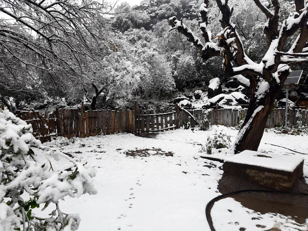 203025763_10208396428506072_7944533035995225459_n