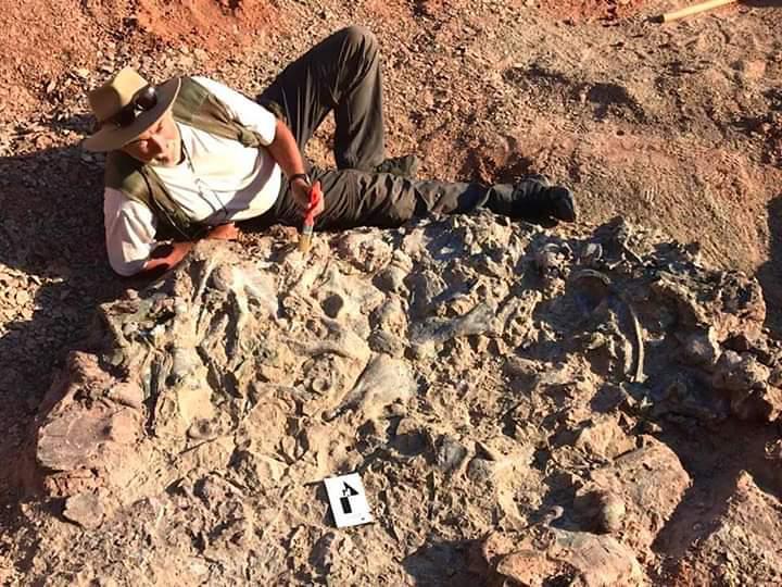 50749168197_4a5c0b2d1c_b