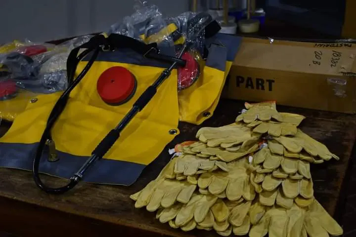 FB_IMG_1724008867607