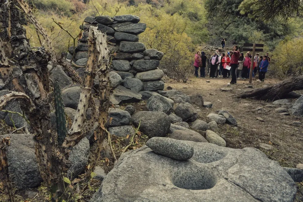 450611938_892759009545723_1700326205995589369_n