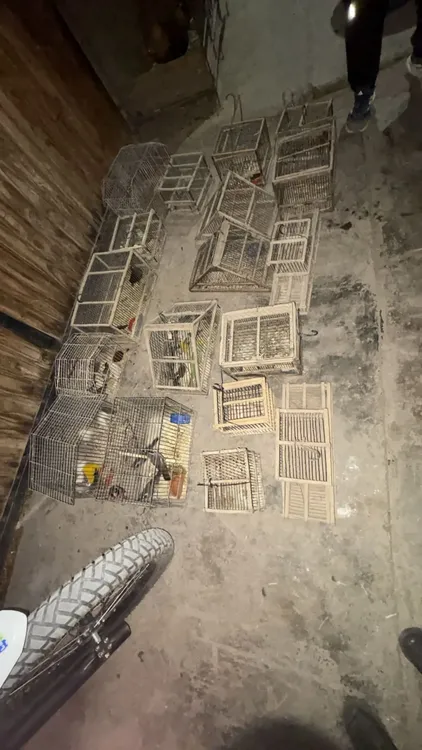 whatsapp-image-2025-08-14-at-085704