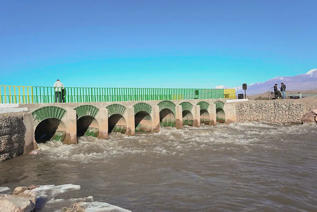 52976070252_b48d1b948e_b