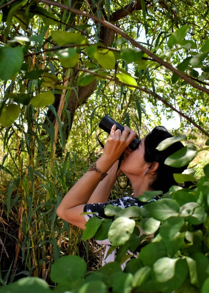 Avistaje-de-aves-en-Valle-Fertil-11-728x1018