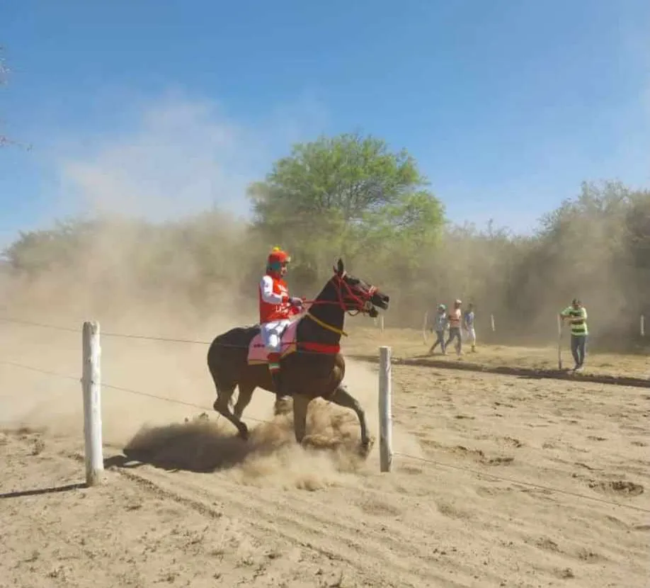 received_866925561338379