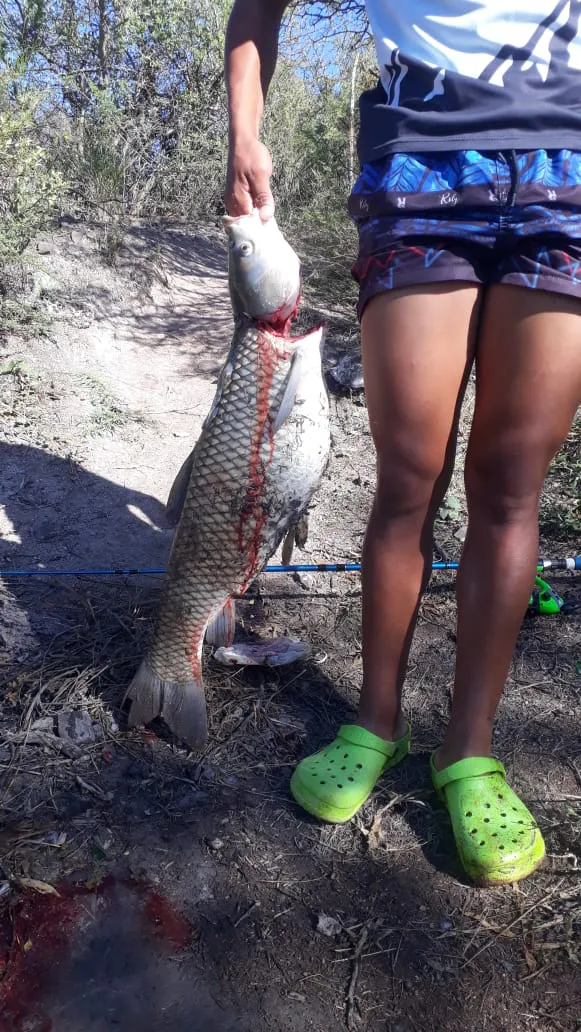 90509c1e-5e7a-48bd-92a9-ae779417e2d9