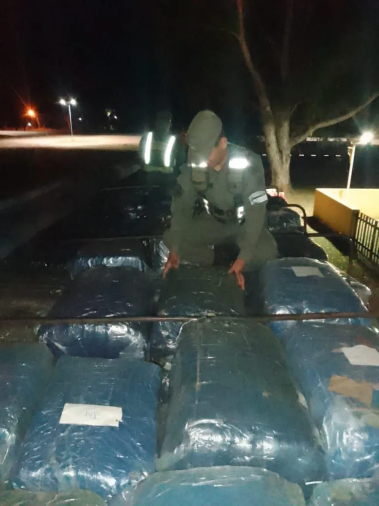 hojas_de_coca-2_toneladas-_2