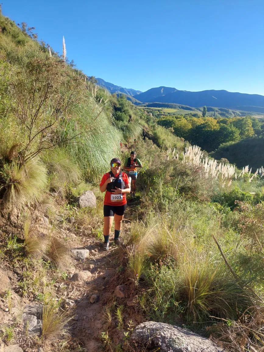 e895e579-1e47-4814-9960-e45da5609696