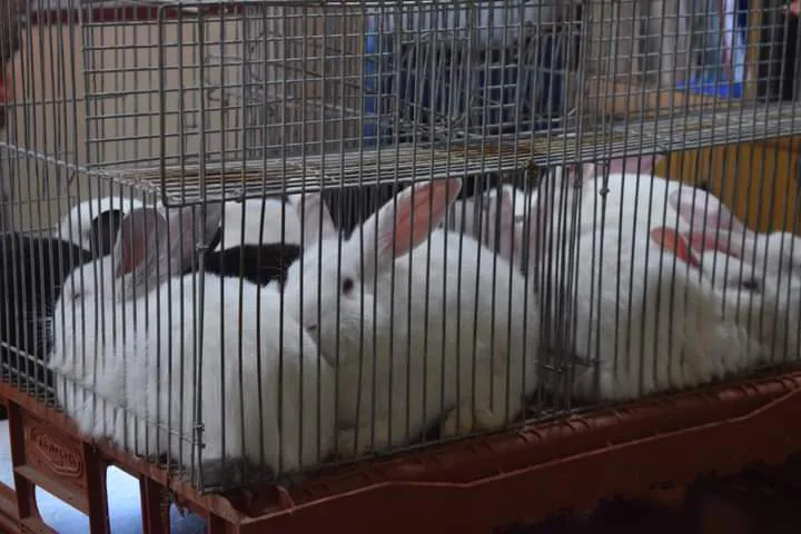 FB_IMG_1726842452288