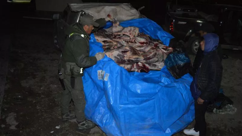 f800x450-335879_387325_5050