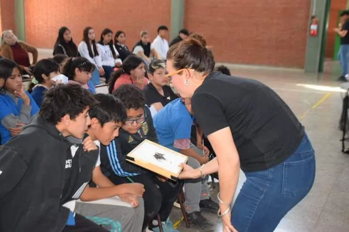 FB_IMG_1726186607063