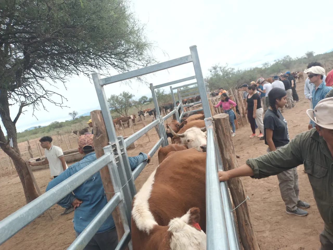 4a25015d-047a-4963-b7d4-33ab8c6a8dcb