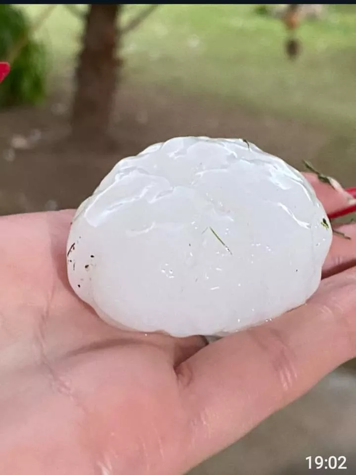 FB_IMG_1668291826664