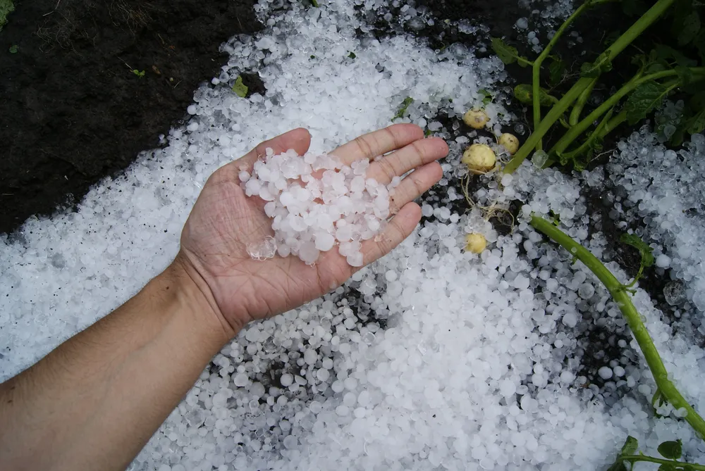 lorapalner-first-snow-1821255