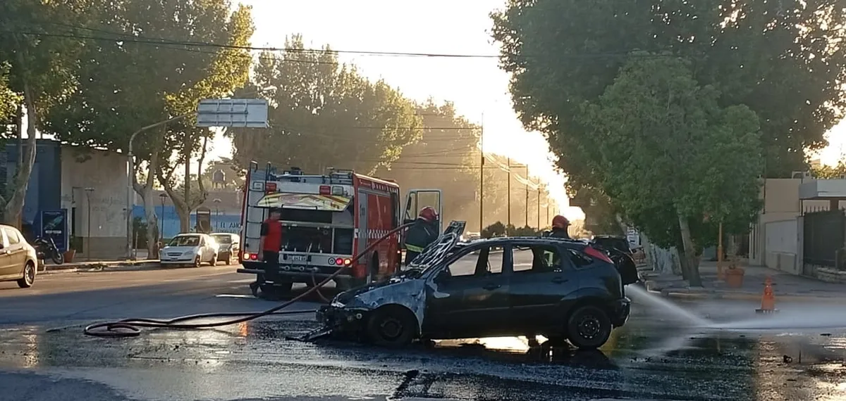 whatsapp-image-2025-03-10-at-081030jpeg