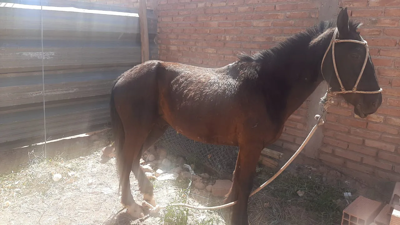 3eeb7ef4-fe54-4ad3-ac78-af557b37119f