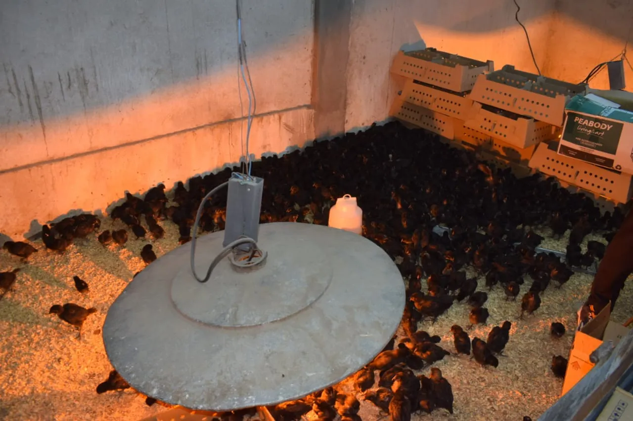 438096068_838387658316192_4075499056559021024_n