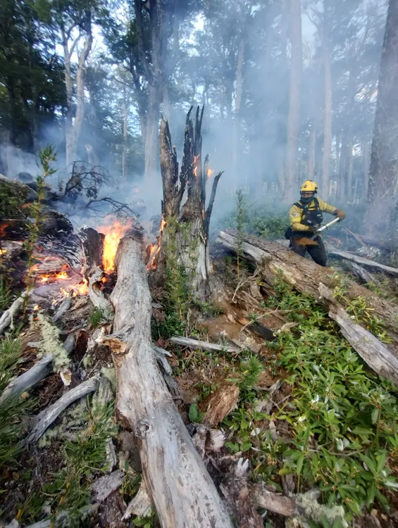 54323283429_24077921d6_o