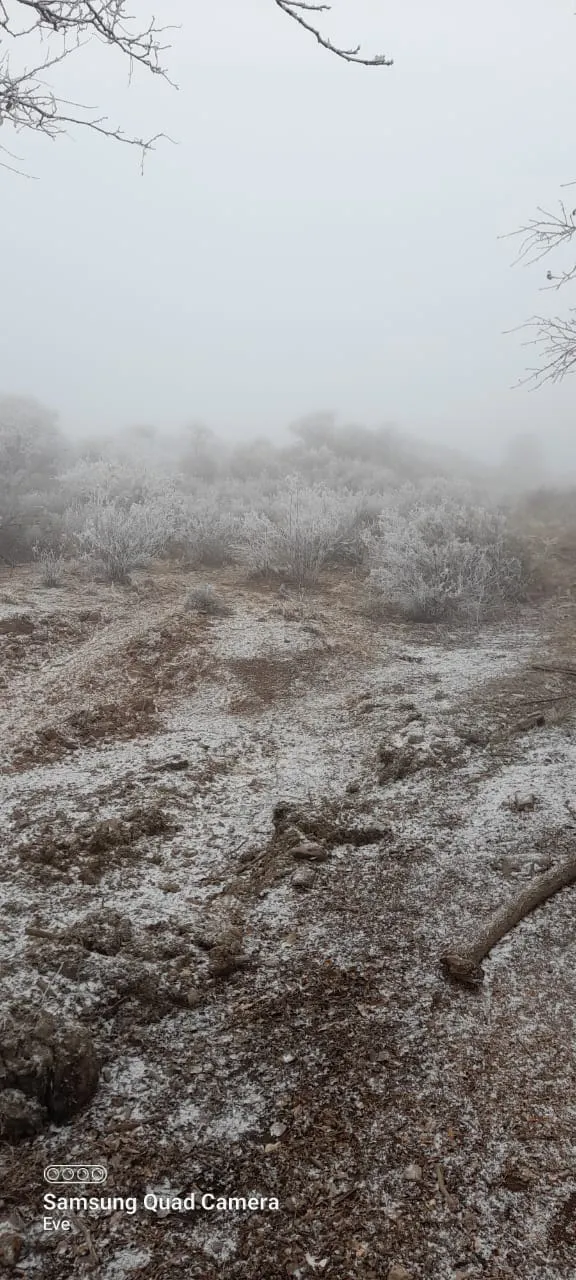 ec097d7c-0995-4a90-91e9-701afc3c7bed