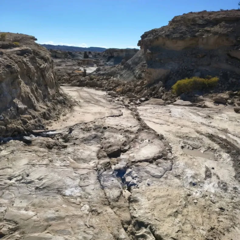 image - 2025-12-12T140934.661