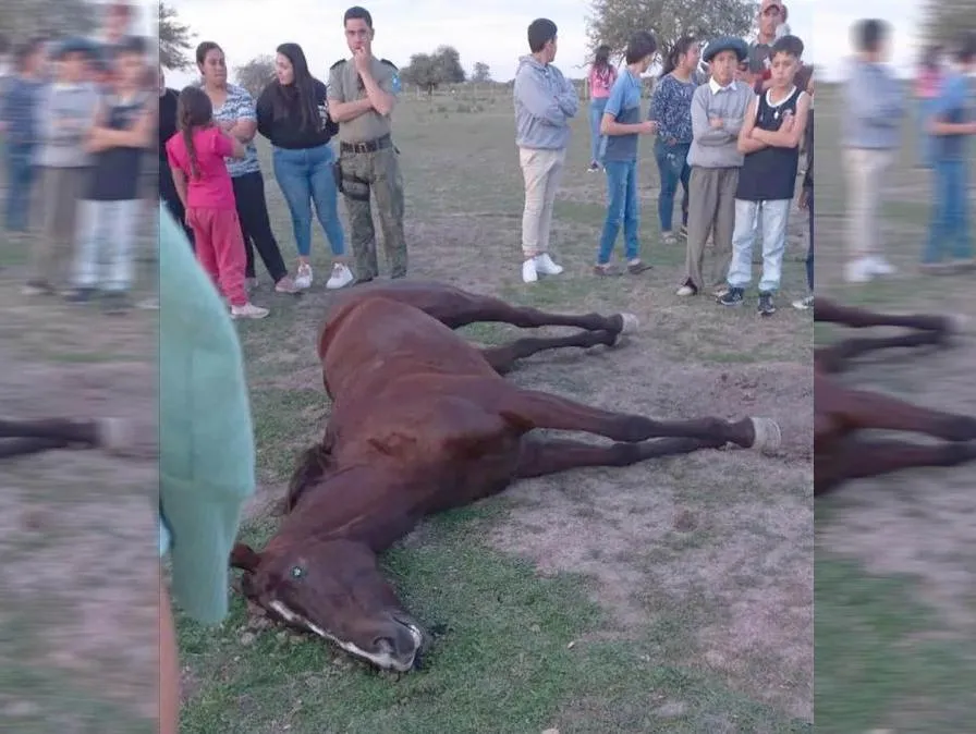 yegua_muerta_crop1690922792609