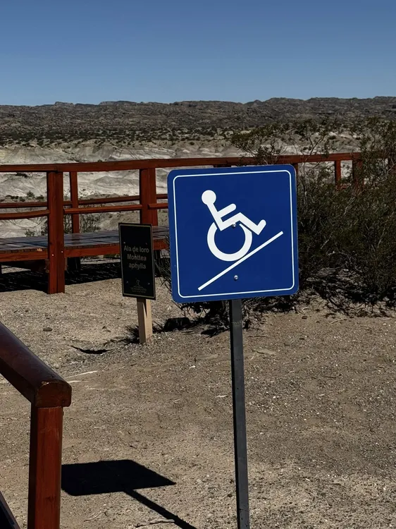 657639665_10240400559221095_5418959741393625297_n