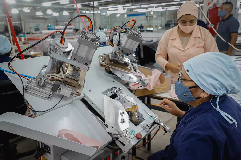 50959957066_e37ff9be77_b