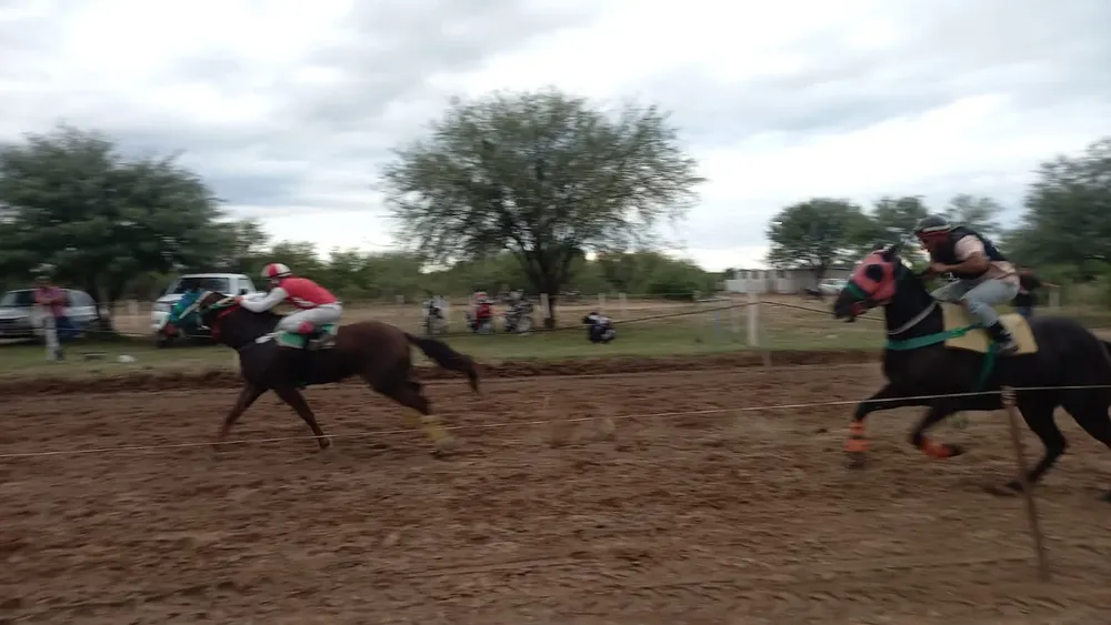 337536687_942183713794106_6811201353425011447_n