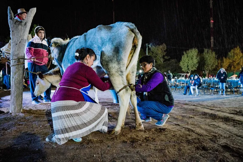 whatsapp-image-2023-08-07-at-182643-1jpeg