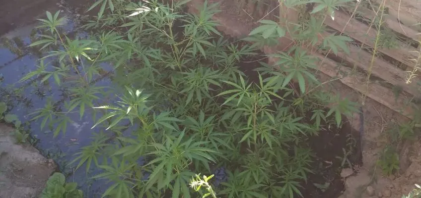 WhatsApp-Image-2020-12-23-at-08.43.40-848x400