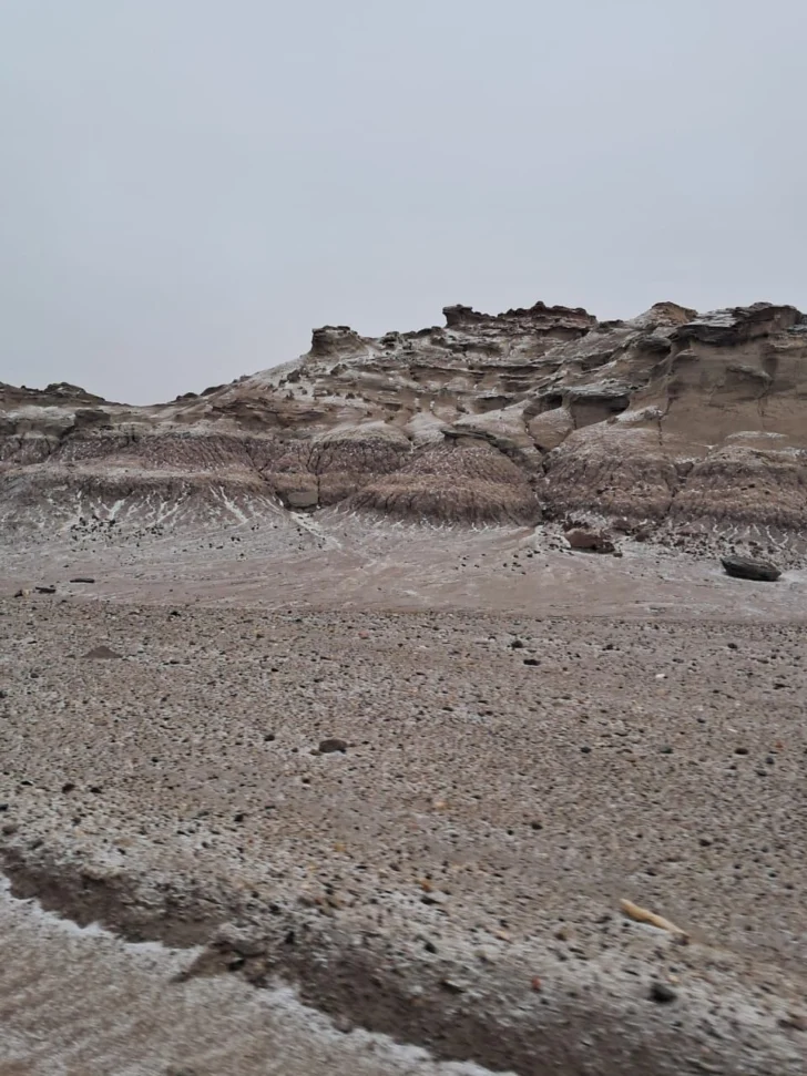 WhatsApp-Image-2025-06-29-at-17.07.48-728x971