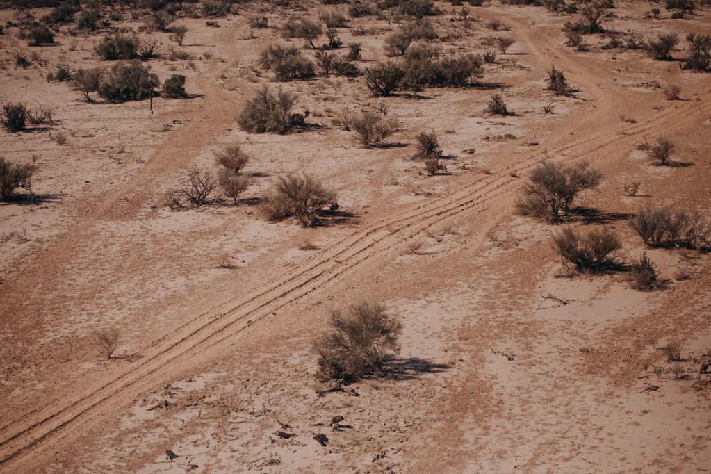 50249656872_64485c2f15_b