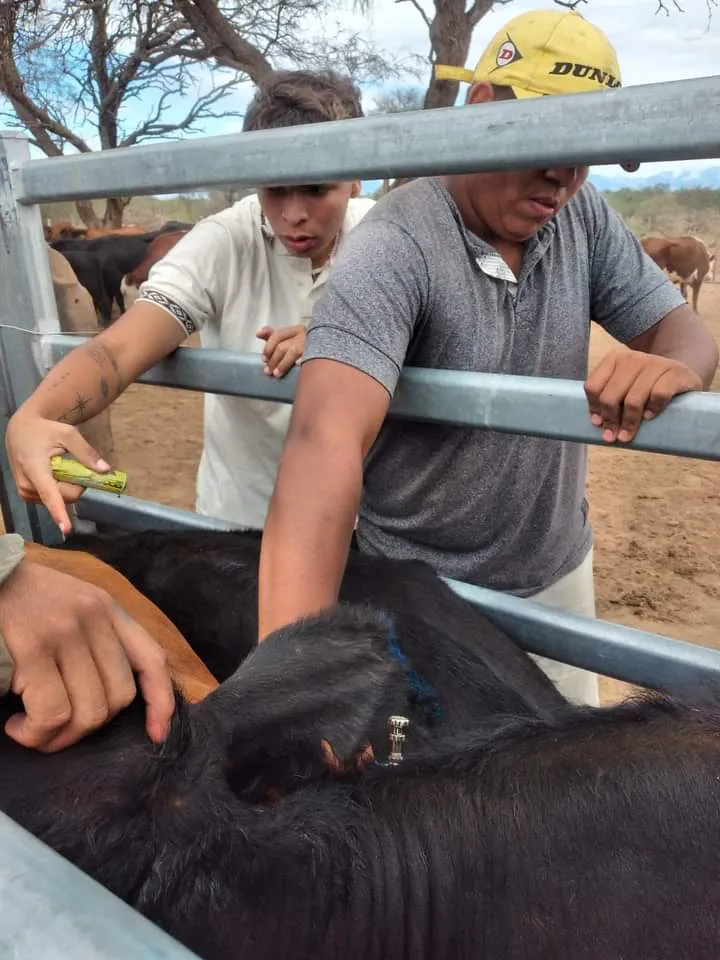 FB_IMG_1711403553066