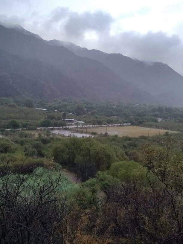 FB_IMG_1605628256594