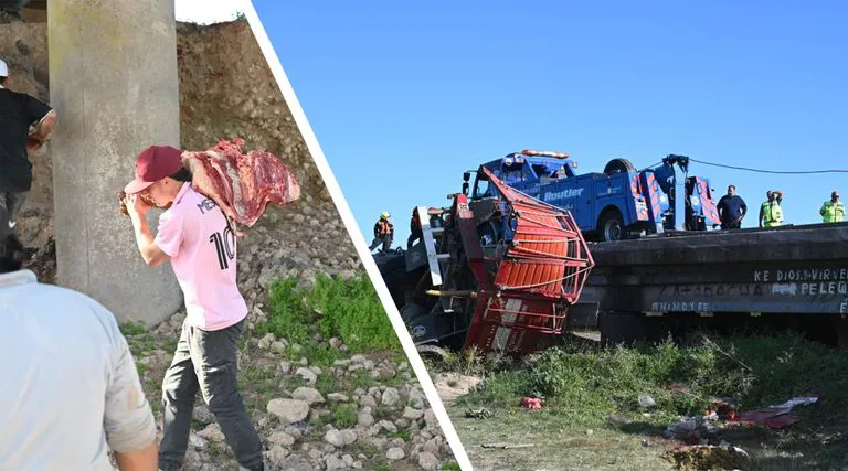 vuelco_de_camion_jaula_y_faena_en_ruta_9